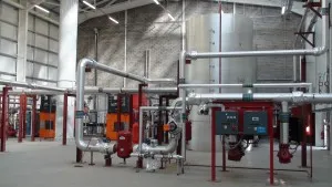 Inside the Biomass