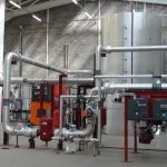Inside the Biomass
